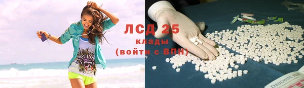 ешки Новодвинск