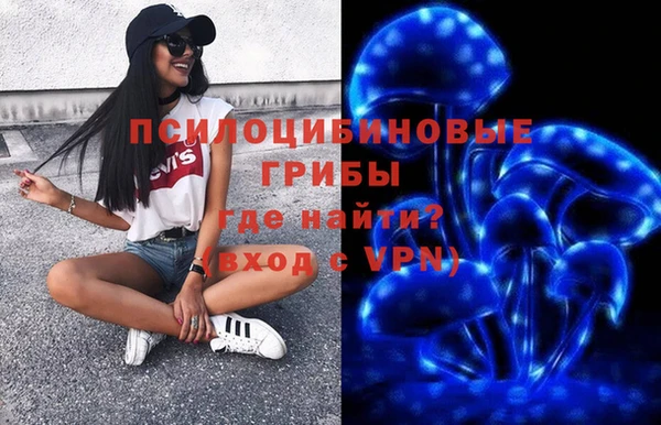 а пвп мука Алзамай