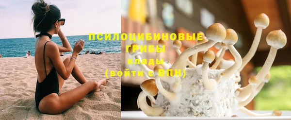 эйфоретик Новозыбков